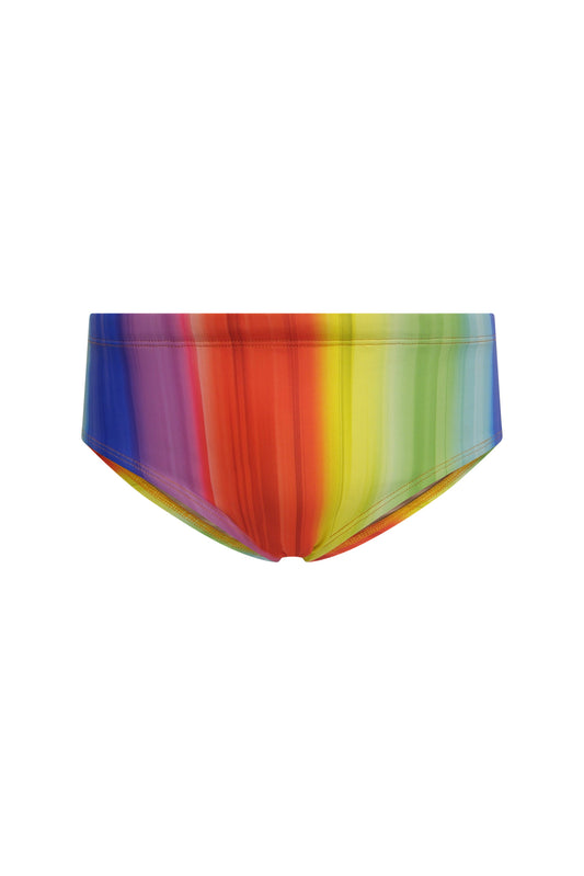 Multicolor Stripes Men's Swim Brief